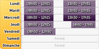 Horaires Agence Toulouse Camille Pujol