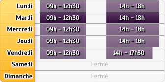 Horaires CIC Immobilier Toulouse