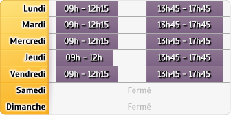 Horaires Agence St Etienne Centre Fourneyron