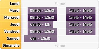 Horaires Agence Saint Exupery Bron