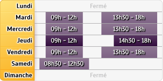Horaires du Caisse d'Epargne Dijon Theatre, 16, Rue Chabot Charny