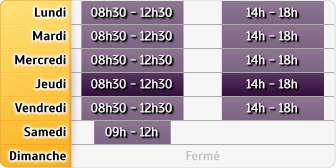 Horaires du Allianz - Clermont-l'Hérault, 1, Quai Hercule Cot