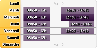 Horaires LCL St Martin D'Heres
