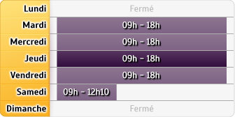 Horaires Agence Maaf Lesneven