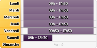 Horaires Agence Maaf Langon