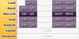 Horaires Allianz - St Genis Pouilly